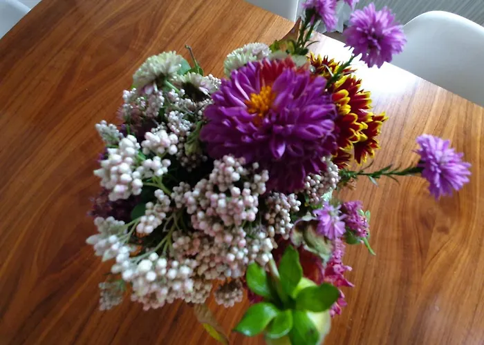 Satzvey Monteurshaus 3 Sz, Einzelbetten, Mechernich, Kall, Rheinbach, Koeln, Bonn Gebiet 別荘 メッヒャーニッヒ